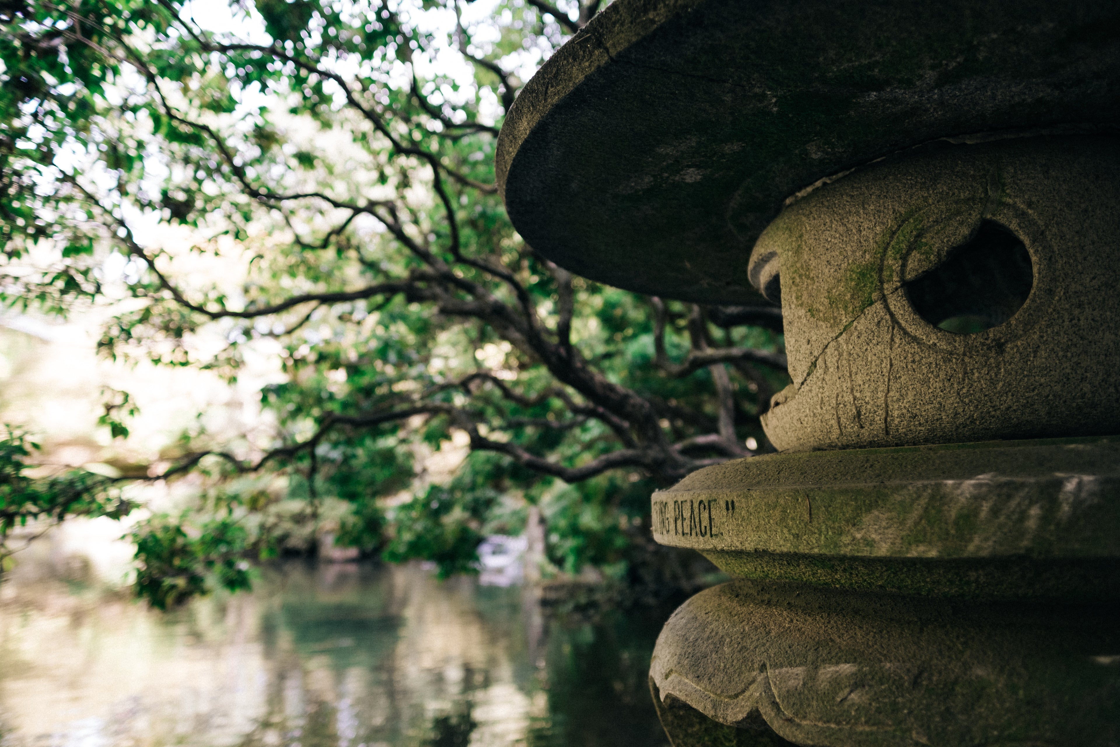 slider image 1621243260e1af0c20-0